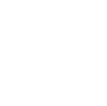 HS Logo